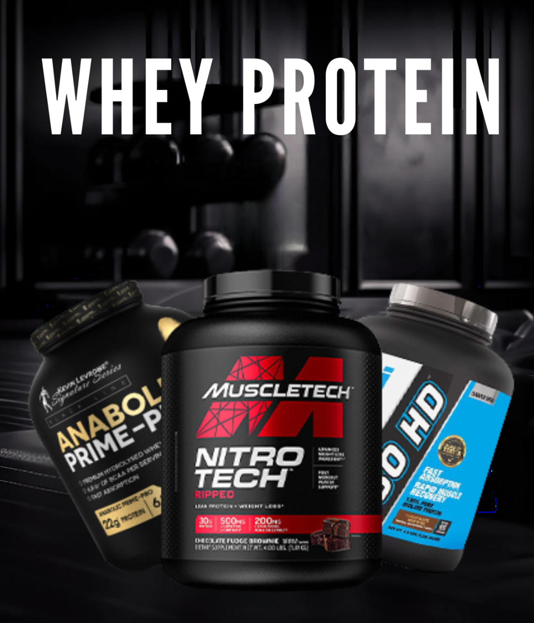 Protein Powders